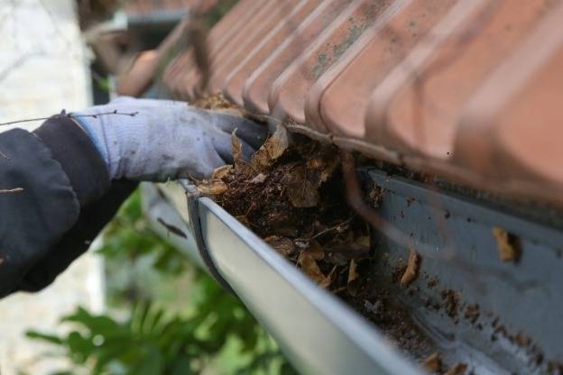 5 Powerful Reasons to Start Gutter Cleaning Today