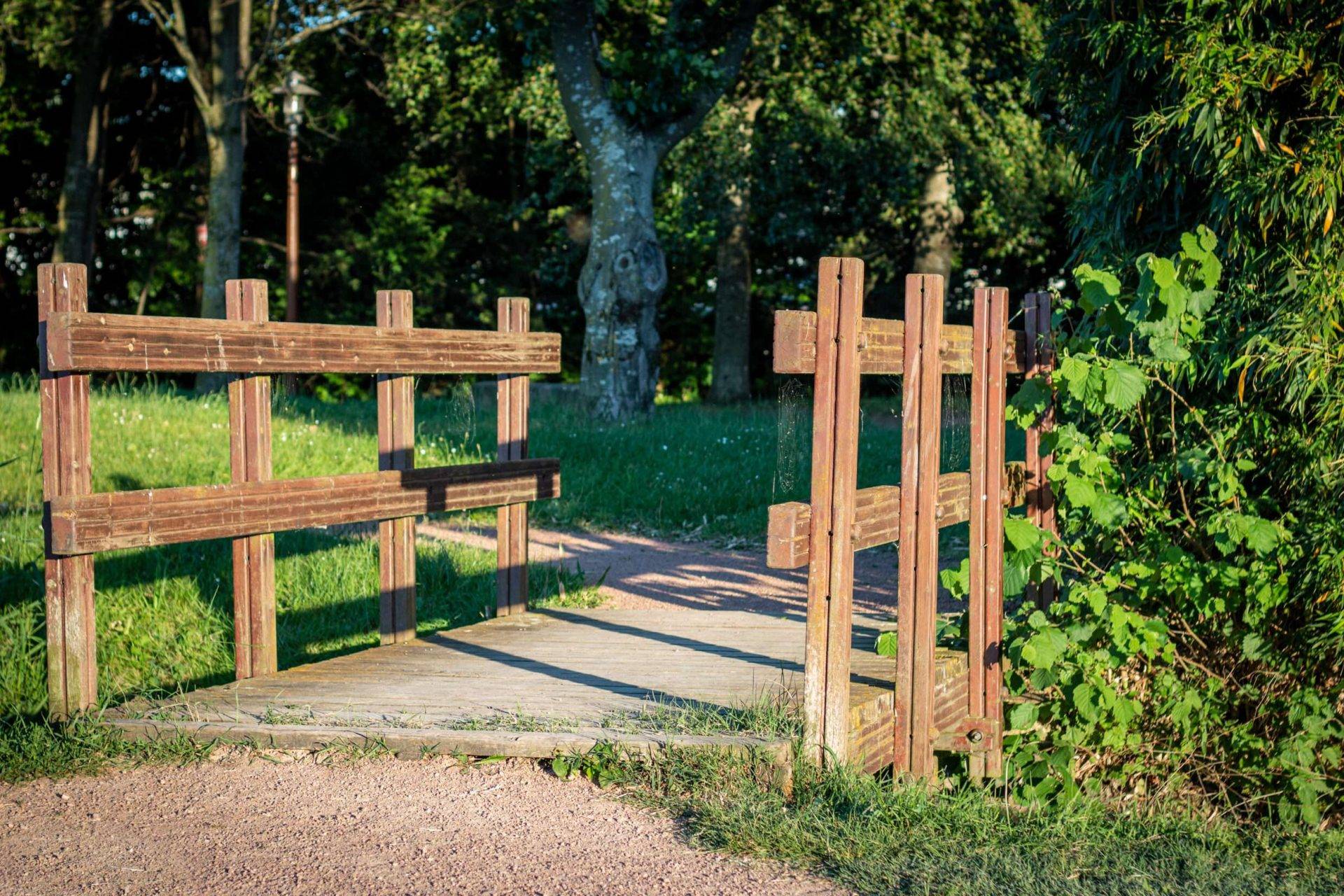 Fence Cleaning
